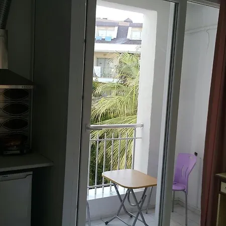 酒店 塞得海豚酒店 2*