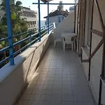 Delphin