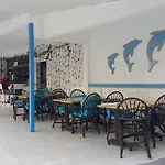 Delphin Side
