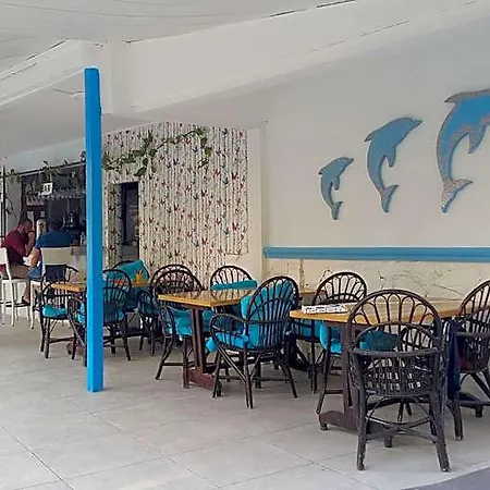 Delphin 2* סייד